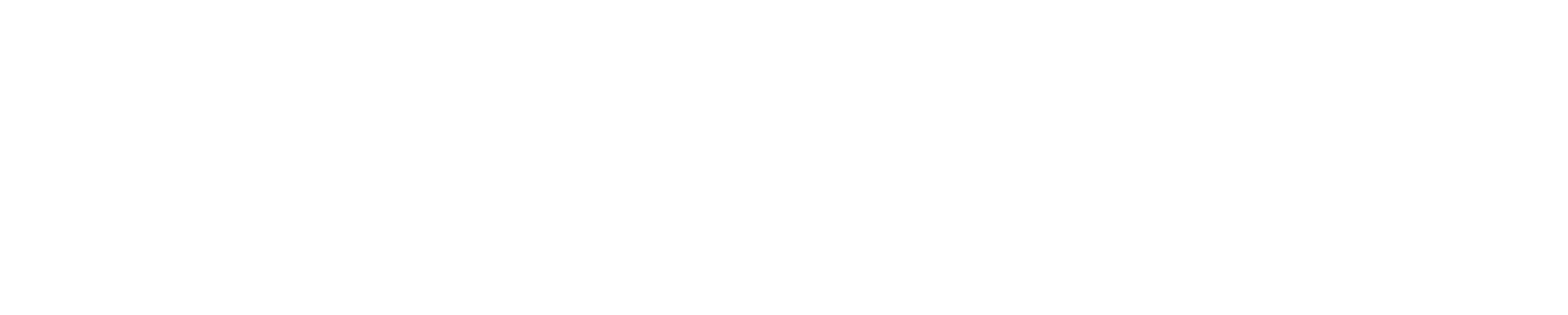 Logo_Secondary_Wordmark_White_PNG