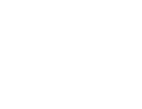 Logo_Secondary_ZSymbol_White_PNG