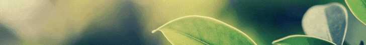 Feedback survey promo banner